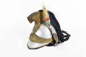 19TH CENTURY LEGIONNAIRE PARAD