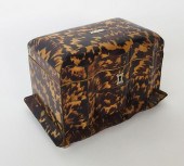 19TH CENTURY REGENCY TORTOISES
