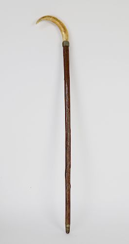 19TH CENTURY WILD BOAR TUSK