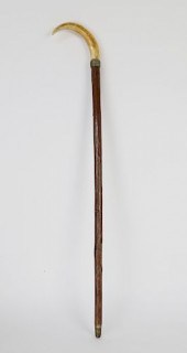 19TH CENTURY WILD BOAR TUSK CA