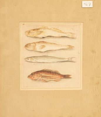 19th Century/Study of Four