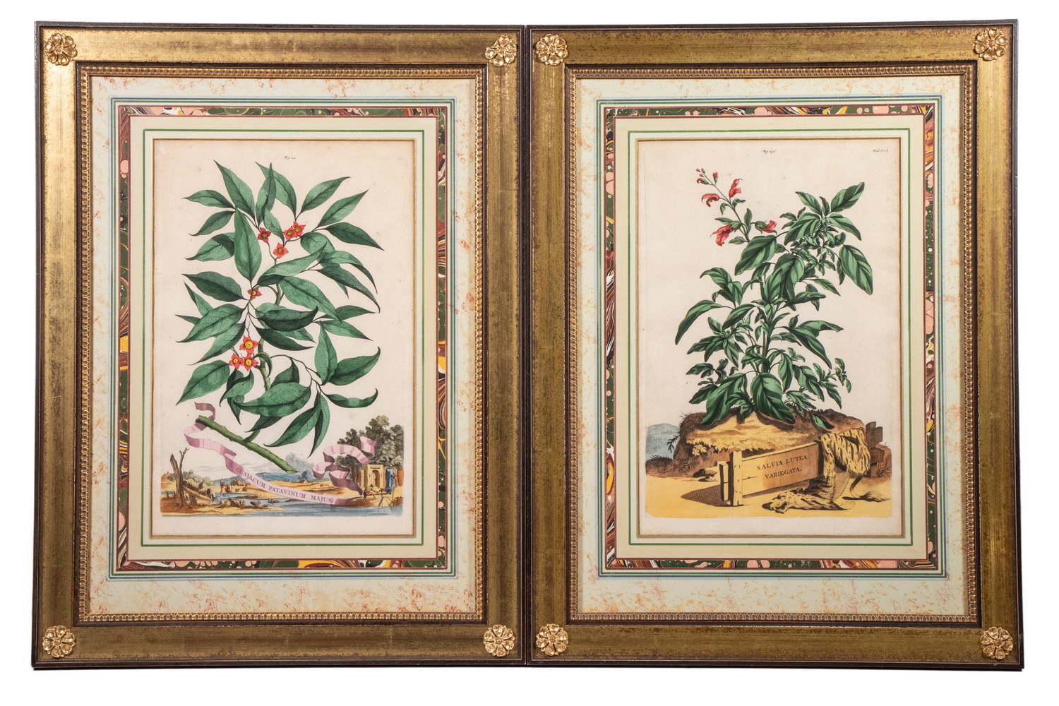 (2) ABRAHAM MUNTING C. 1696