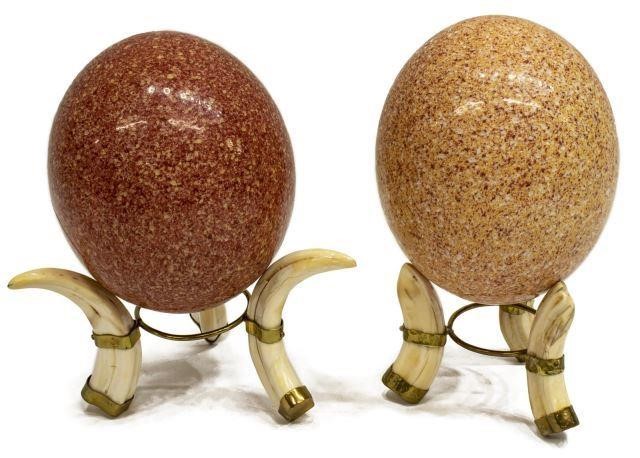 (2) AFRICAN OSTRICH EGGS ON WARTHOG