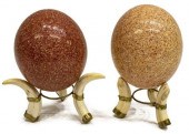(2) AFRICAN OSTRICH EGGS ON WA