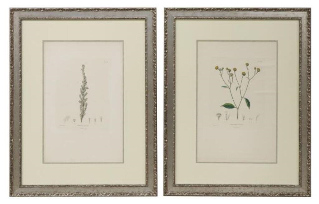 (2) AFTER PIERRE TURPIN BOTANICAL