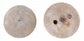 (2) ANTIQUE ENGLISH TEXTURED S