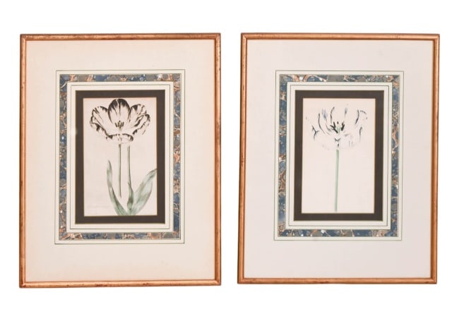 2 ANTIQUE FRAMED BOTANICALS OF