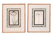 2 ANTIQUE FRAMED BOTANICALS OF