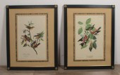 2 AQUATINTS AFTER AUDUBONPair