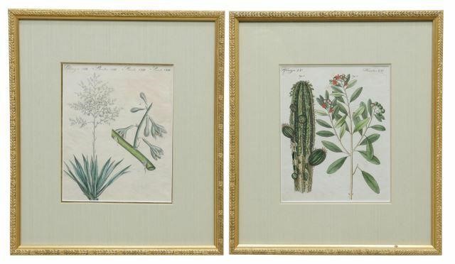 (2) BERTUCH BOTANICAL