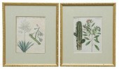 (2) BERTUCH BOTANICAL HAND-COL