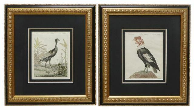 (2) BERTUCH ORNITHOLOGY