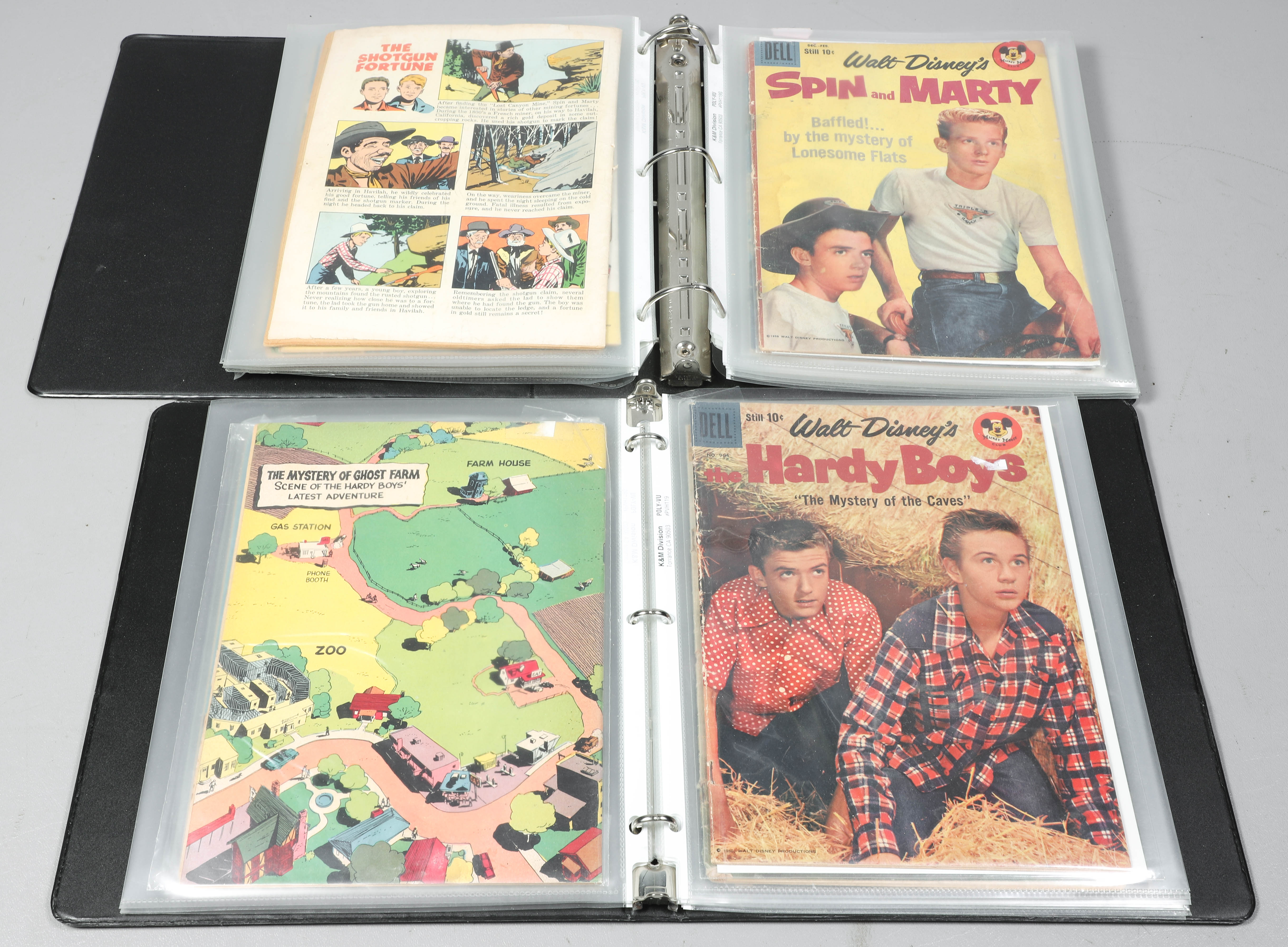 (2) Binders of Walt Disney Dell