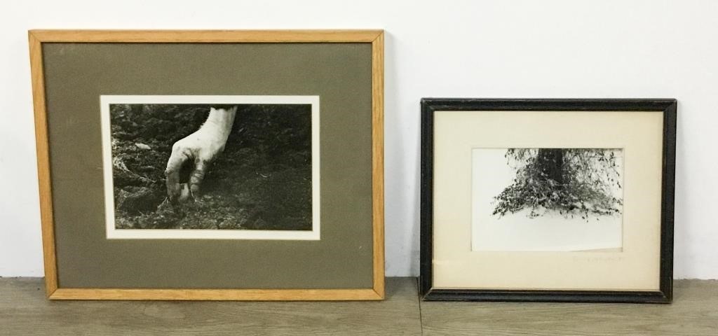2 BLACK & WHITE PHOTOGRAPHSHand,