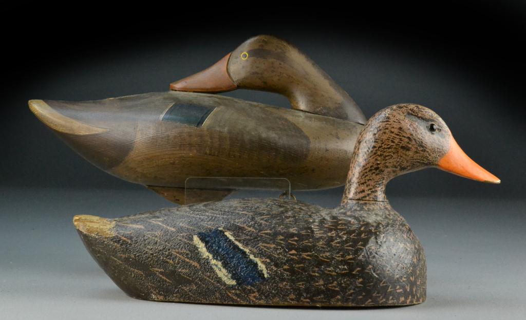 (2) Bluewing Duck
