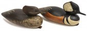 (2) BOB BROWN, HOODED MERGANSE