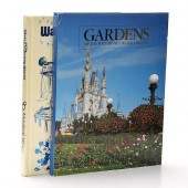 2 BOOKS, DISNEY WORLD 20 MAGIC