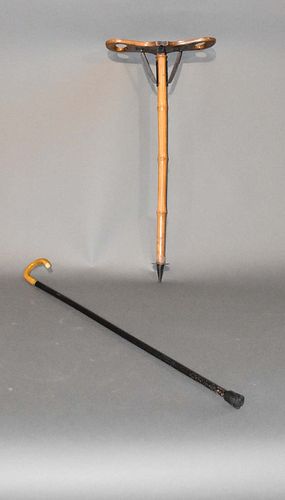 2 CANES2 canes, 1st cane / stool