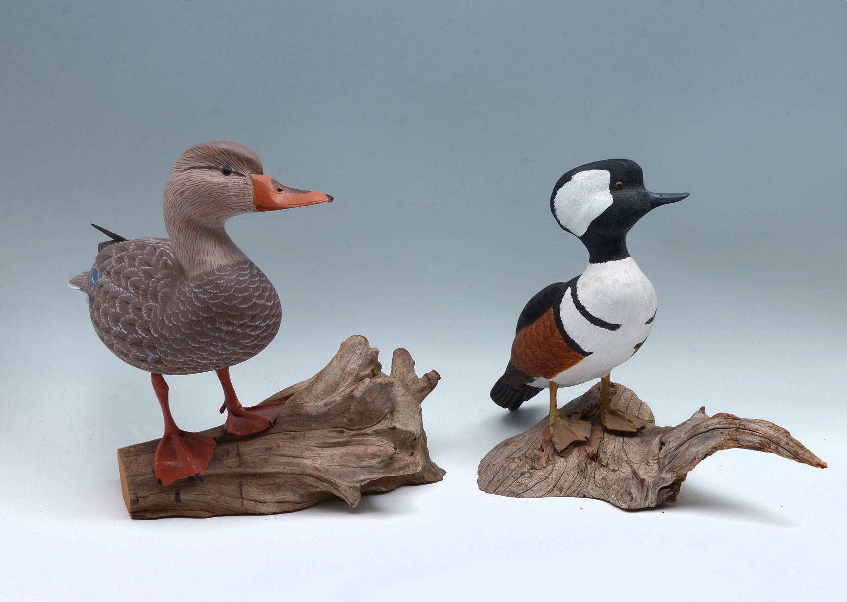 2 CARVED BIRDS DOC HOLLAND: 2-