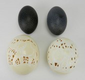 2 CARVED OSTRICH EGG LAMPSHADE
