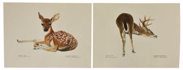 (2) CHARLES BECKENDORF HAND-COLORED