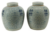 (2) CHINESE BLUE &AMP; WHITE P