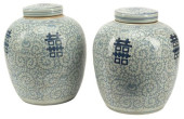 (2) CHINESE BLUE &AMP; WHITE P