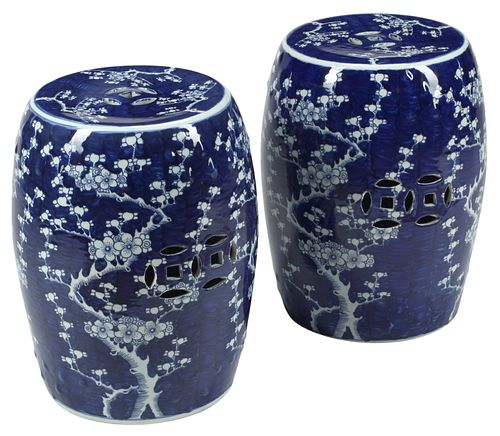 (2) CHINESE BLUE &AMP; WHITE PRUNUS