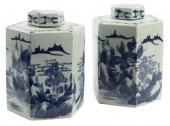 (2) CHINESE BLUE & WHITE PORCE
