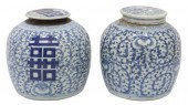(2) CHINESE BLUE & WHITE PORCE