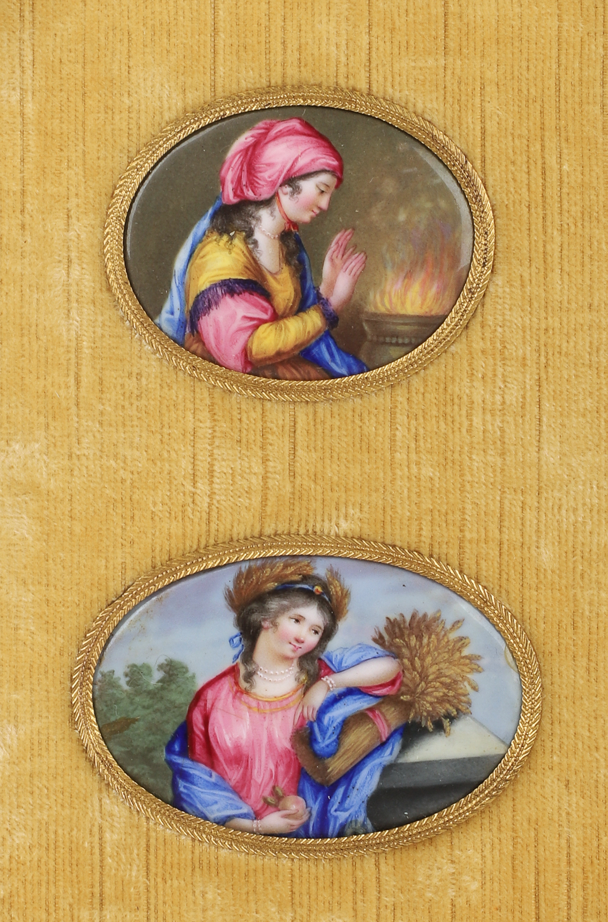 (2) Continental enamel plaques in