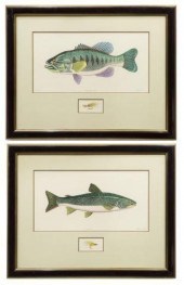 (2) DAN MITRA BROOK TROUT & LA