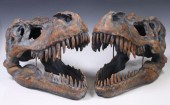 (2) DECORATIVE T-REX SKULL SCU