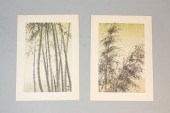 2 EIICHI KOTOZUKA BAMBOO WOODB