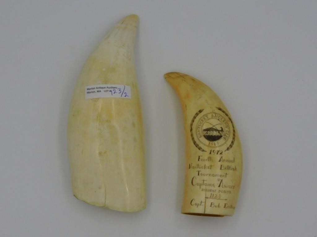 (2) ENGRAVED SPERM WHALE'S TEETH.
