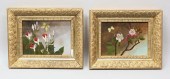 2 EVELINA MOUNT OILS ON BOARD2
