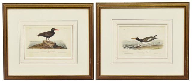 (2) FRAMED AUDUBON BIRDS OF AMERICA