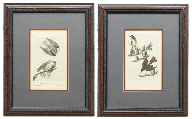 (2) FRAMED AUDUBON BIRDS OF AMERICA