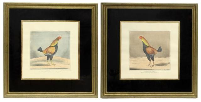 (2) FRAMED ENGLISH COCK FIGHTING