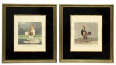 (2) FRAMED ENGLISH COCK FIGHTI