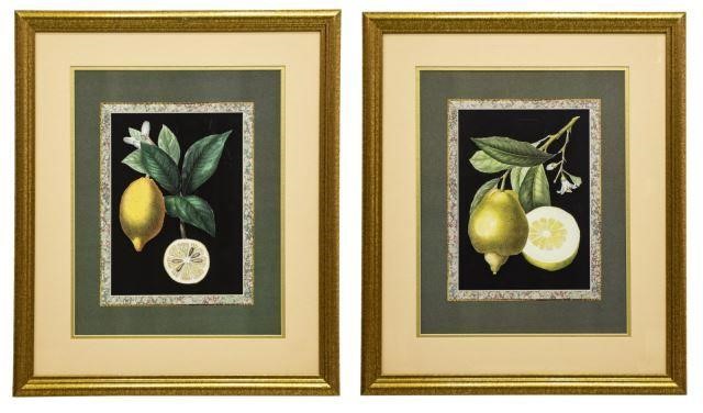 (2) FRAMED PRINTS IN COLOR, STILL