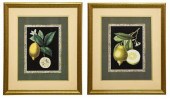 (2) FRAMED PRINTS IN COLOR, ST