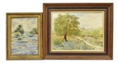 (2) FRAMED TEXAS BLUEBONNET LA