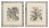 (2) FRAMED TROWBRIDGE GALLERY