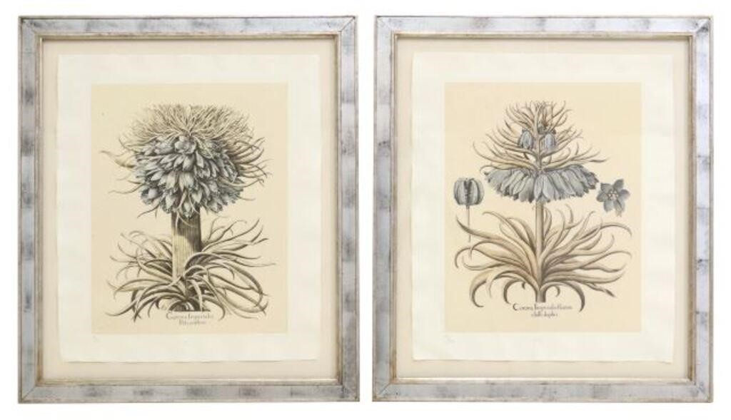 (2) FRAMED TROWBRIDGE GALLERY