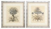 (2) FRAMED TROWBRIDGE GALLERY