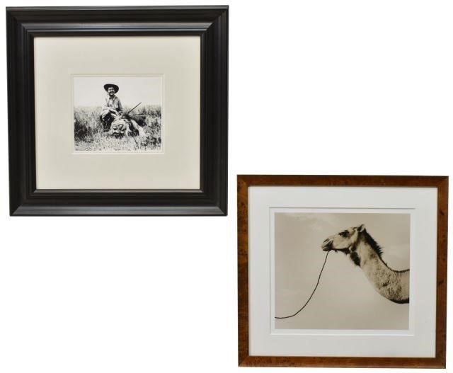 (2) FRAMED WILDLIFE PHOTOGRAPHIC