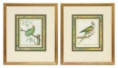 (2) FRENCH HAND-COLORED ENGRAV