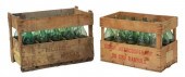 (2) FRENCH VINEYARD WINE CRATE