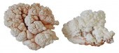 (2) GEOLOGICAL BUBBLY QUARTZ C